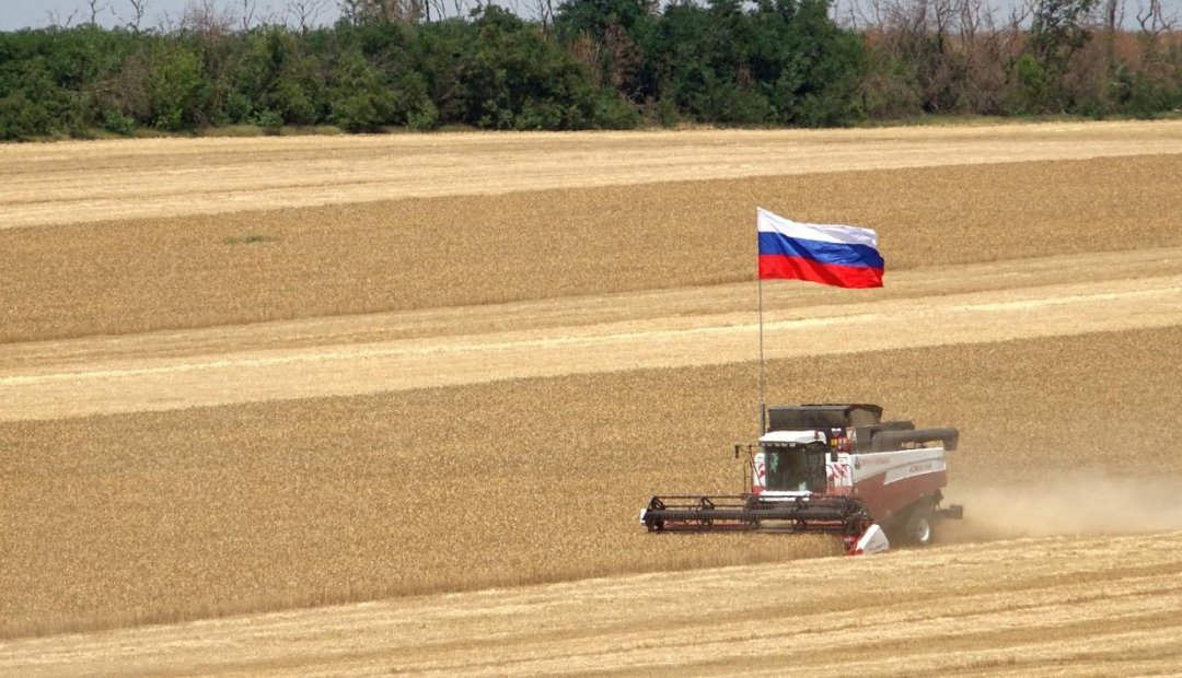 Полевой дневник: на Дону собрано более 7 млн тонн зерна нового урожая